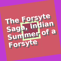 zBook: Indian Summer Forsyte