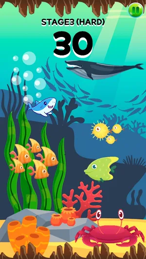 Baby Shark Swimming Screenshot 3