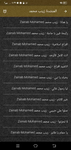 المنشدة زينب محمد MP3 بدون نت Screenshot 3
