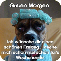 Lustige Guten Morgen Bilder