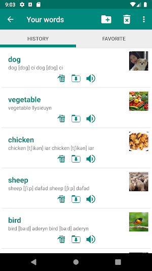 Welsh English Dictionary Screenshot 3