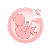 Birthing Rhythm