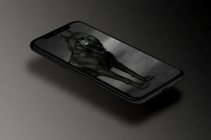 Black Wallpaper 2 Screenshot 2