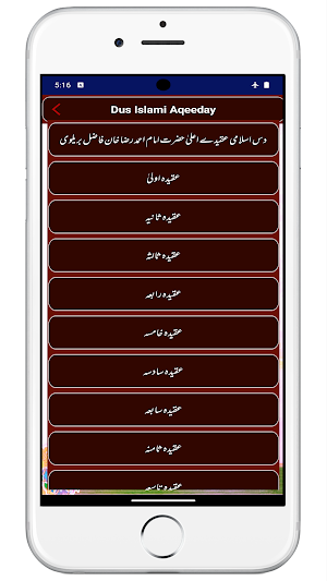 Islami Aqaid | دس اسلامی عقیدے Screenshot 2