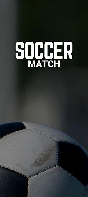 US Soccer Championship Screenshot 2