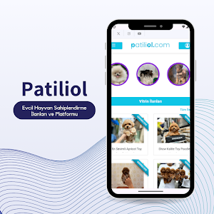 PatiliOl Screenshot 0