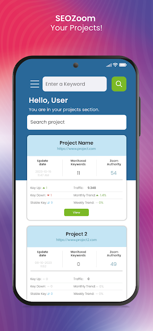 SEOZoom Screenshot 1