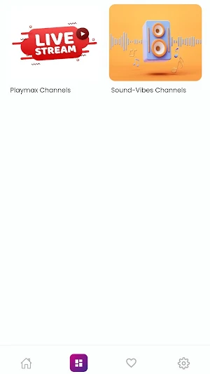 Playmax Radio Screenshot 3