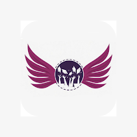 هاي فلايرز