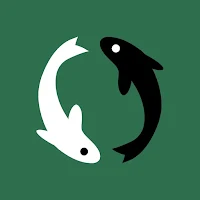 Koi Yoga
