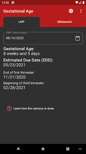 Gestational Age (baby's age) Screenshot 2