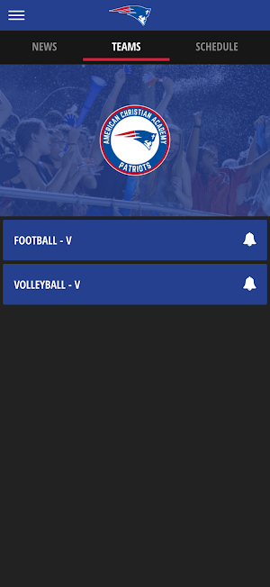 ACA Patriots Screenshot 3