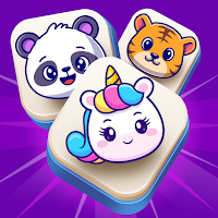 Pick & Match: Twin Card Puzzle