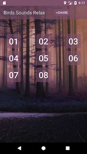 Birds Sounds Relax and Ringtones Screenshot 0