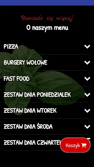 PIZZERIA I RESTAURACJA ROMA Screenshot 2