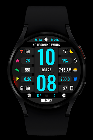 WR 017 Digital Watch Face Screenshot 3