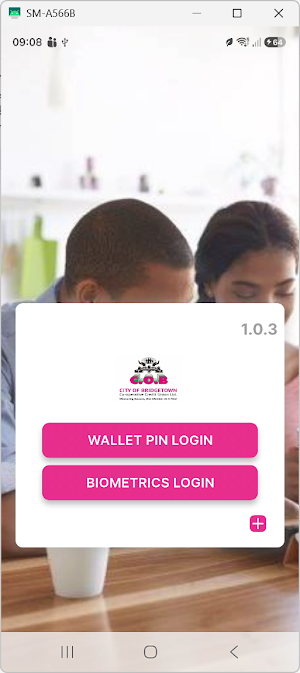 COB Wallet Screenshot 3