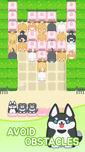 Doge Jam : Match Screenshot 1