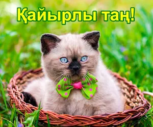 Қайырлы таң Суреттер Screenshot 2