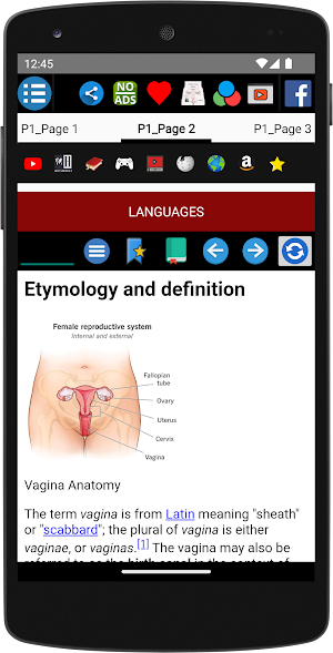 Vagina Anatomy Screenshot 2