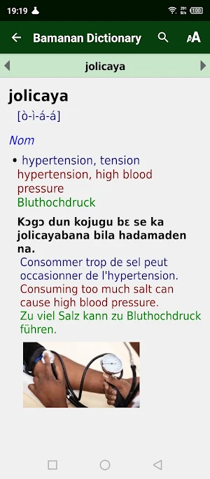 Bamanan Fran Engl dictionary Screenshot 1