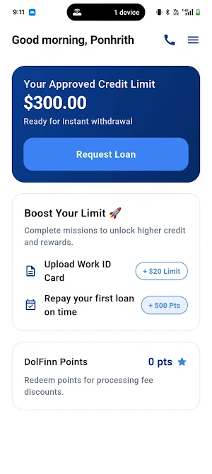 DolFinn Screenshot 1