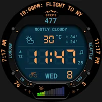 Digital Weather Watch 116