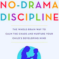 No-Drama Discipline