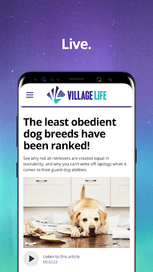 Village-Life.ca Screenshot 2