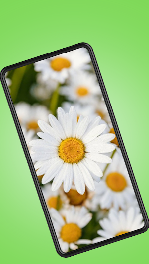 Pretty Flowers Images Screenshot 3