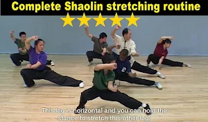 Shaolin Kung Fu w Subtitles Screenshot 2