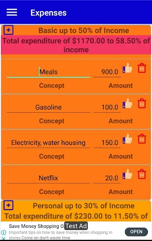 Expenses and Savings Screenshot 1