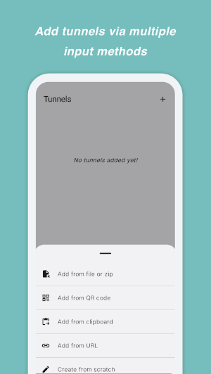 Vireon VPN Screenshot 0