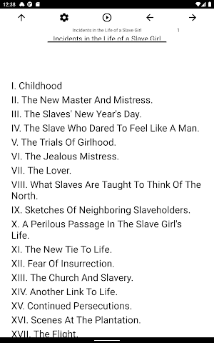 Book, Incidents in the Life... Screenshot 2