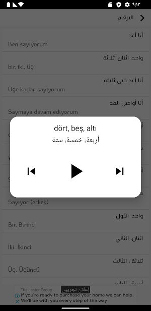 Learn Turkish no Internet Screenshot 2