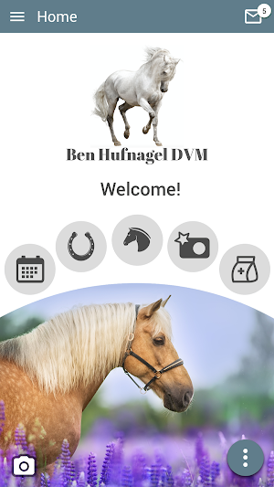 Ben Hufnagel DVM Screenshot 0