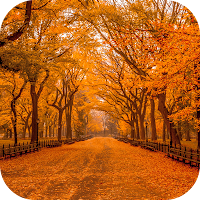 Autumn Wallpaper 2023