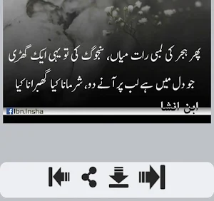 Ibn e Insha Shayari Screenshot 2