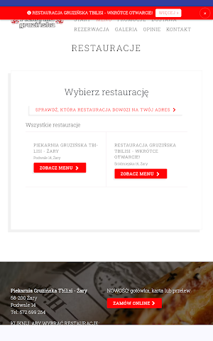 Tbilisi Żary Screenshot 2
