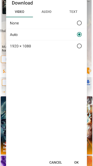 kho animevietsubfan Screenshot 2