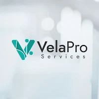 Vela Tax Services
