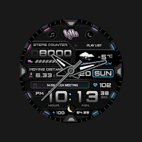 SamWatch AD Hybrid Kronos 2025