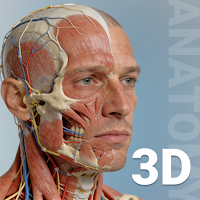 Anatomy Learn