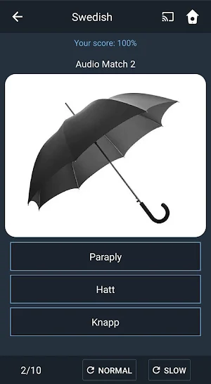 Learn Swedish. Speak Swedish. Study Swedish. Screenshot 3