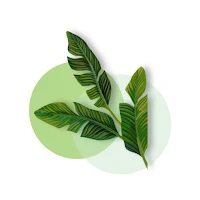 Evergreen: Nature at Doorstep
