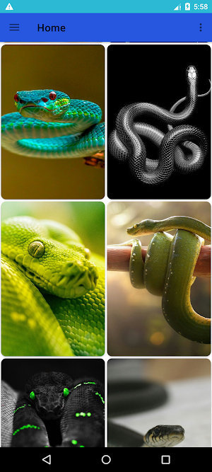 Snake Wallpaper 4K Screenshot 0