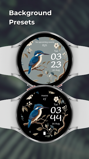 EXD082: Bird Watch Face Screenshot 2