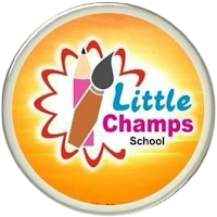 LITTLE CHAMPS SCHOOL