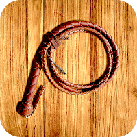Whip Simulator - Pocket Whip
