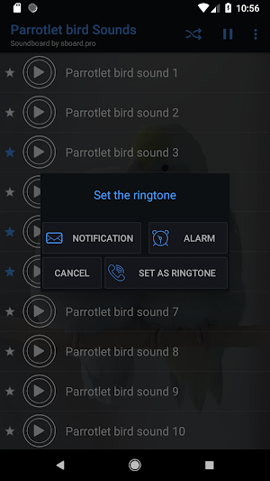 Parrotlet bird sounds ~ Sboard Screenshot 2